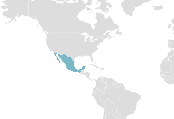 Verbreitung Yucatec