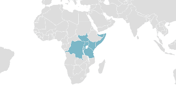 Weltkarte der Mitgliedsländer: Ostafrikanische Gemeinschaft
