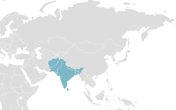 Weltkarte der Mitgliedsländer: SAARC - Südasiatische Wirtschaftsgemeinschaft
