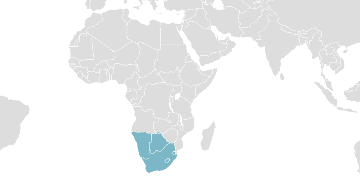 Weltkarte der Mitgliedsländer: SACU - Südafrikanische Zollunion