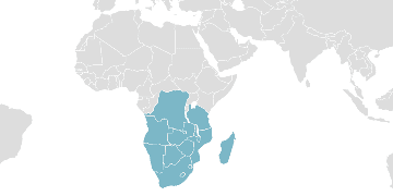 Weltkarte der Mitgliedsländer: SADC - Südafrikanische Entwicklungsgemeinschaft