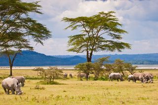 Kenia: Tourismus