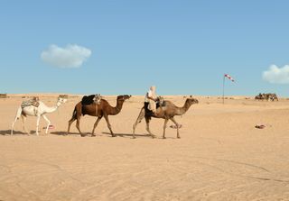 Tunesien: Tourismus