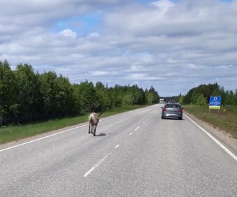 Verkehr in Finnland