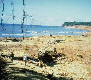 Tsunami in Flores Maumere 1992, Indonesien